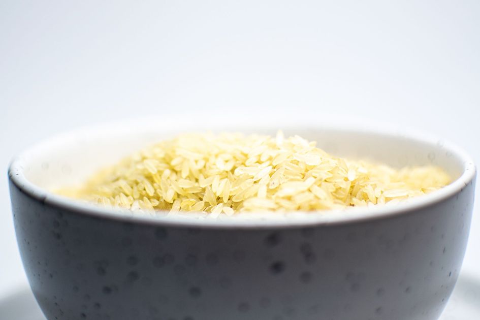 Salitre será sede de la jornada por el Día Mundial del Arroz