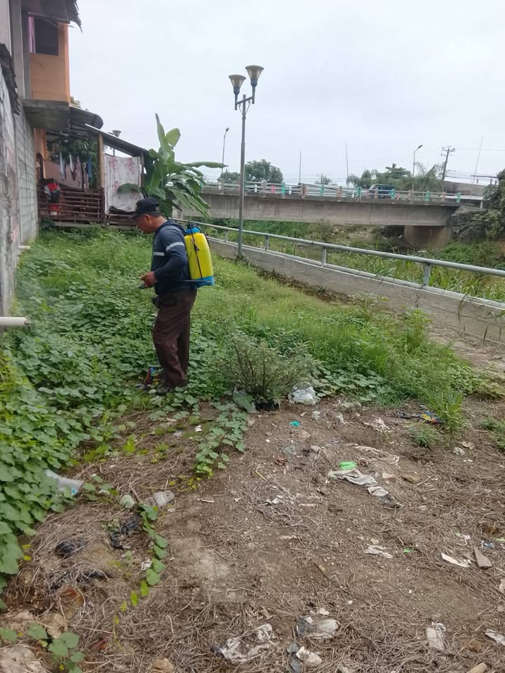 Áreas Verdes de Salitre inicia fumigación preventiva contra mosquitos en las riberas del río