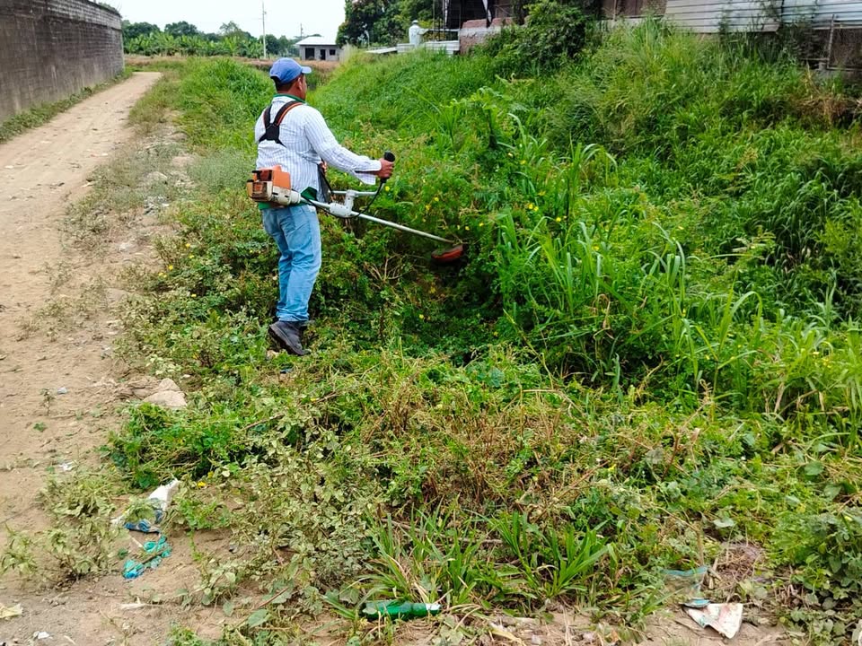 Áreas Verdes de Salitre realiza mantenimiento integral en parques y avenidas